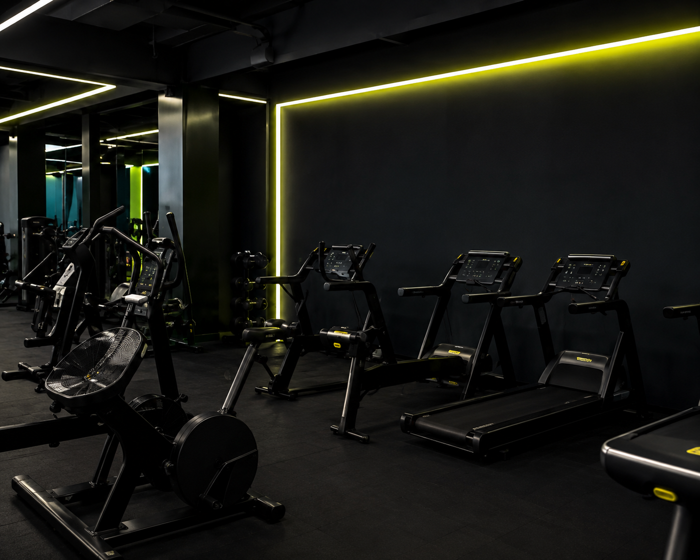 Zona cardio